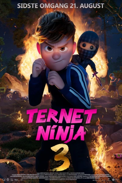 Ternet Ninja 3