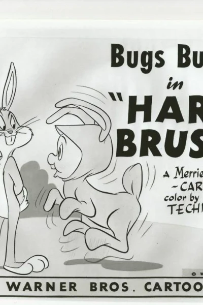 Hare Brush