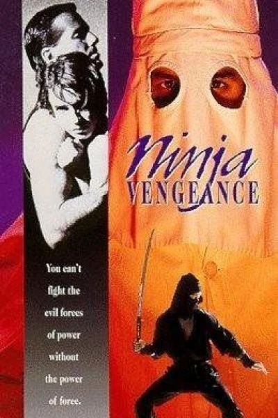 Ninja Vengeance