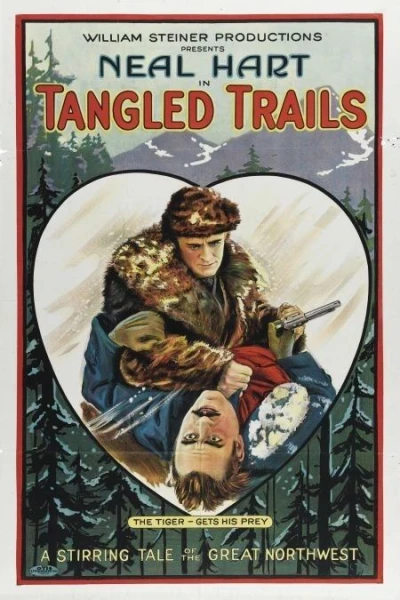 Tangled Trails