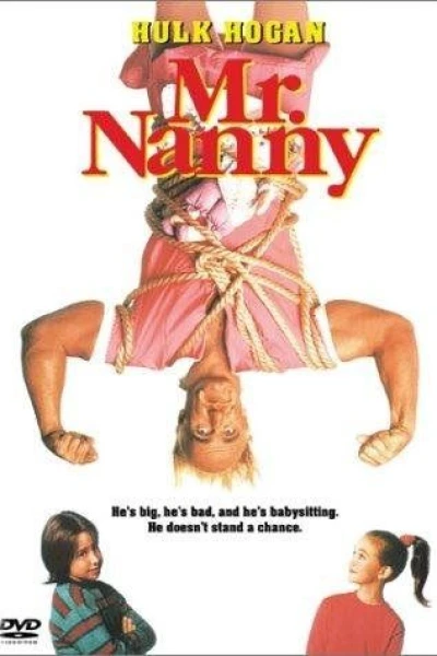 Mr. Nanny