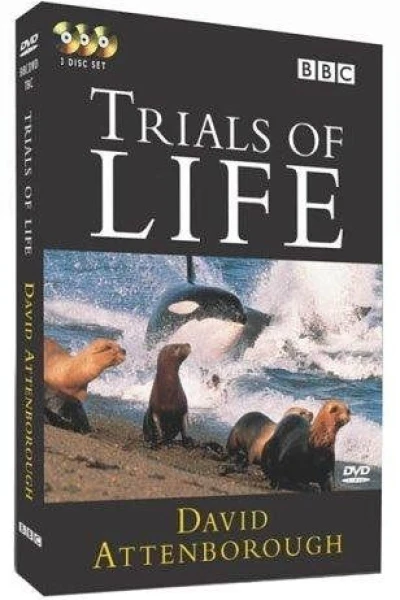 The Trials of Life