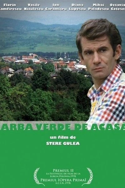 Iarba verde de acasa