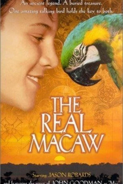 The Real Macaw