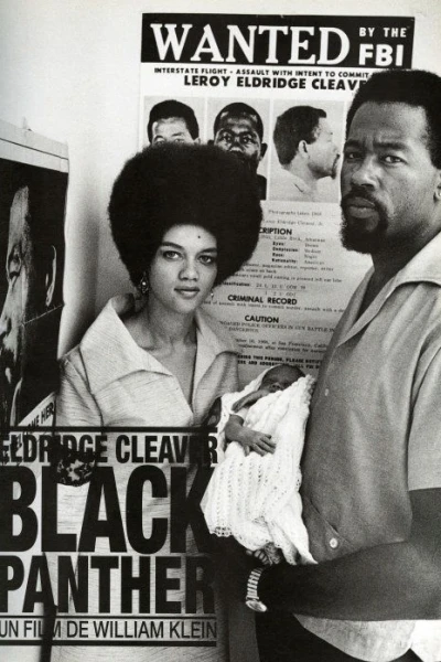 Eldridge Cleaver, Black Panther