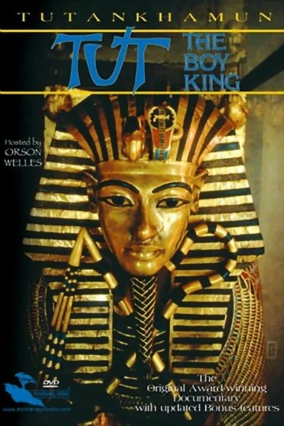 Tut: The Boy King