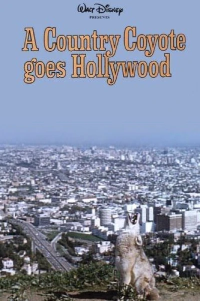 A Country Coyote Goes Hollywood