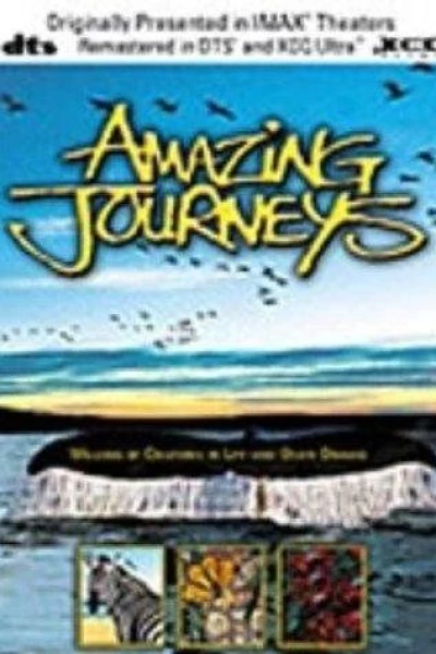 Amazing Journeys