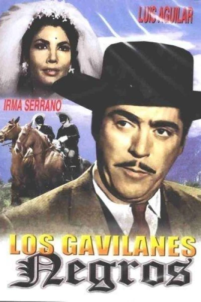 Los gavilanes negros