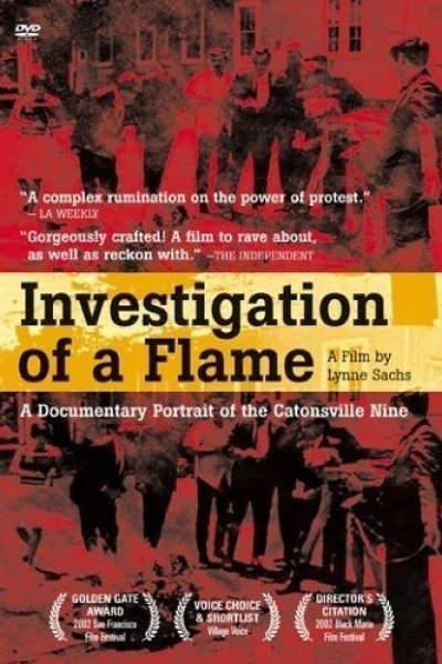 Investigation of a Flame