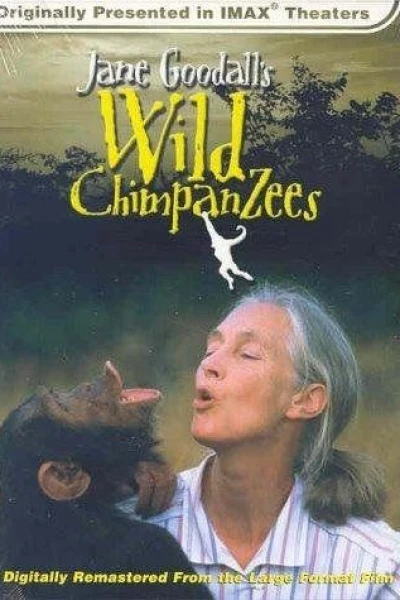 Jane Goodall's Wild Chimpanzees