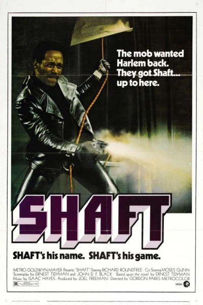 Shaft