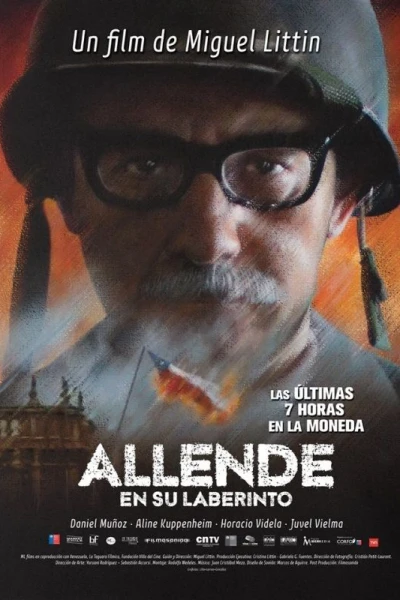 Allende en su laberinto