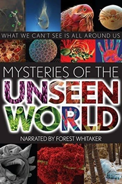 Mysteries of the Unseen World