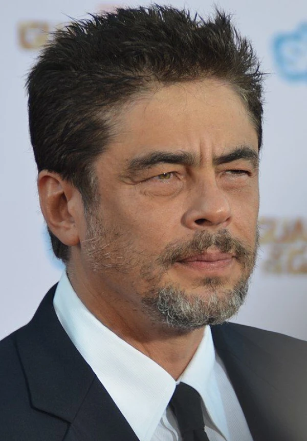 <strong>Benicio del Toro</strong>. Kuva Kirjoittaja Mingle Media TV.