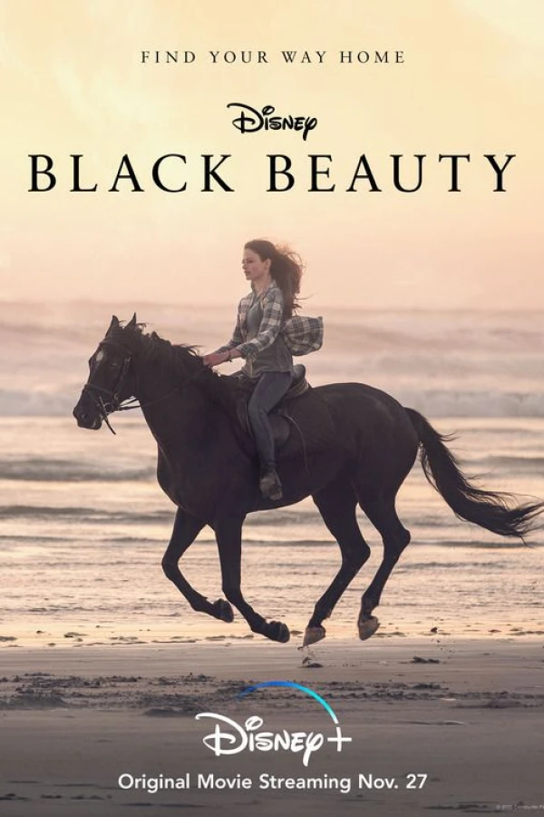 Black Beauty Juliste