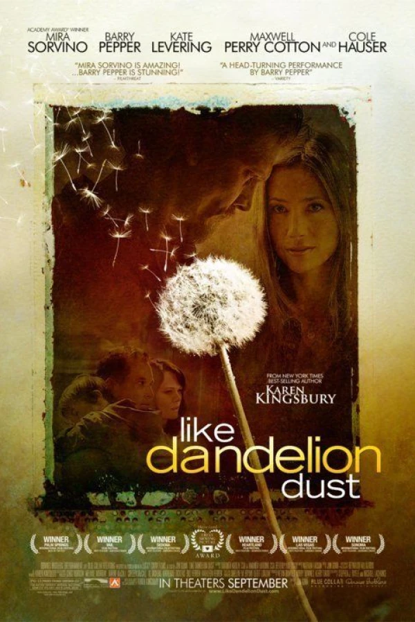 Like Dandelion Dust Juliste