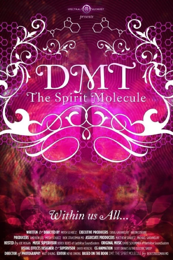 DMT: The Spirit Molecule Juliste