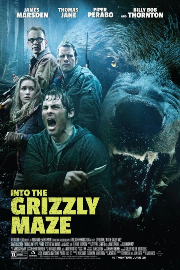 Into the Grizzly Maze Juliste