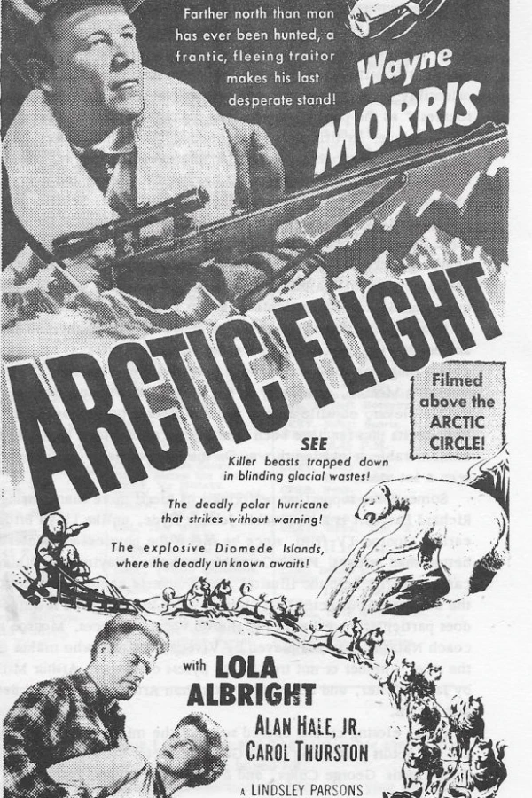 Arctic Flight Juliste