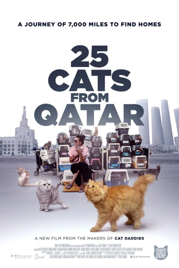 25 Cats from Qatar Juliste
