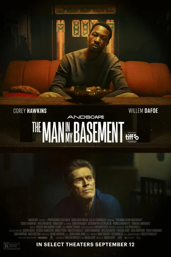 Man in My Basement Juliste