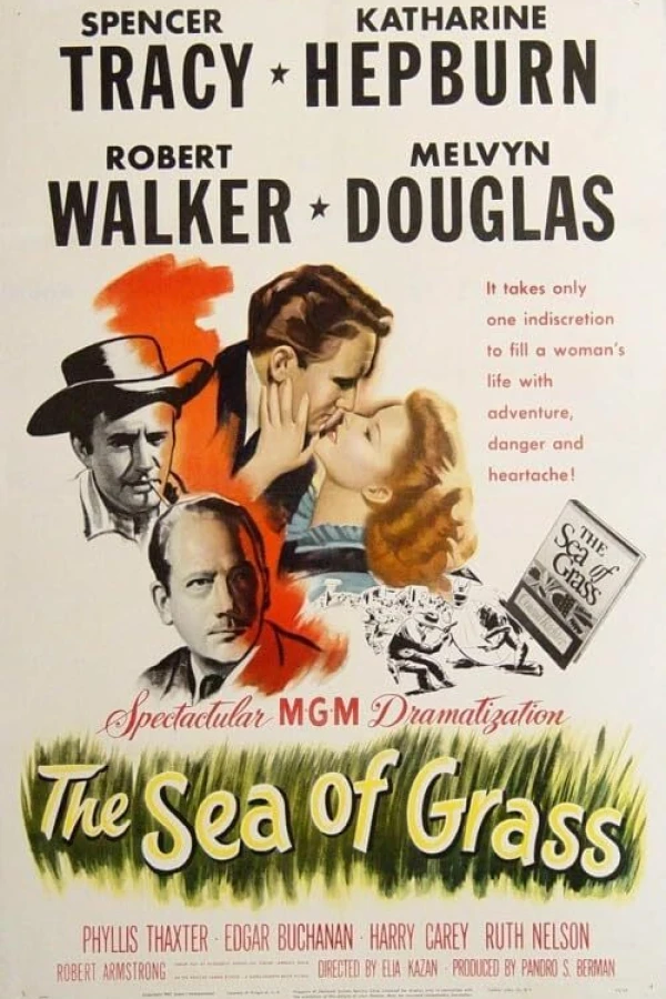 The Sea of Grass Juliste