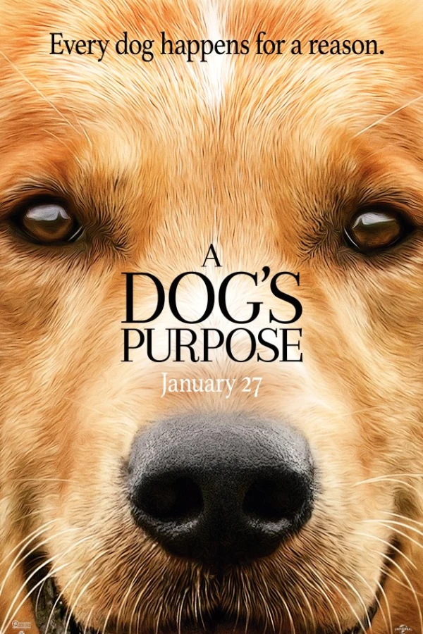 A Dog's Purpose Juliste