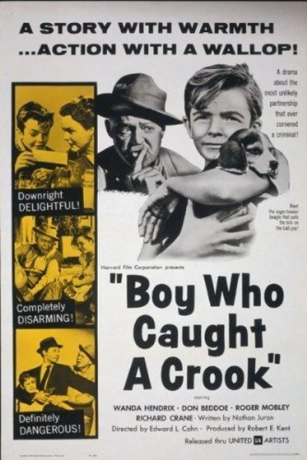 Boy Who Caught a Crook Juliste