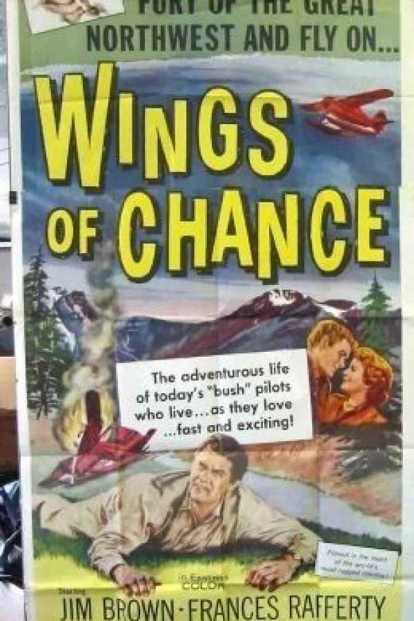 Wings of Chance Juliste