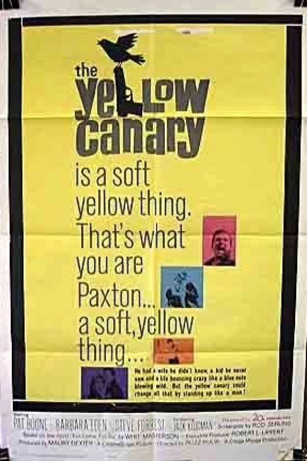 The Yellow Canary Juliste