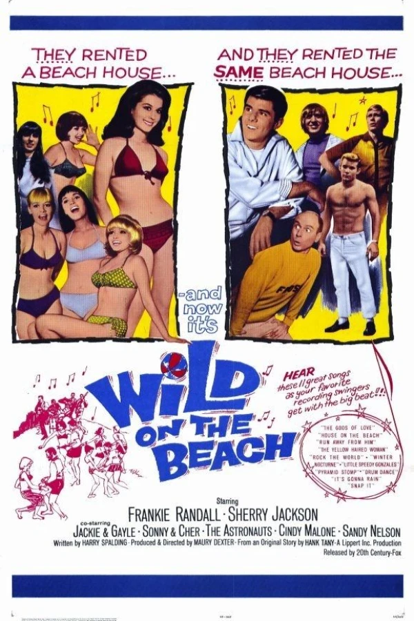 Wild on the Beach Juliste