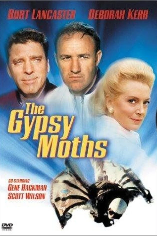 The Gypsy Moths Juliste