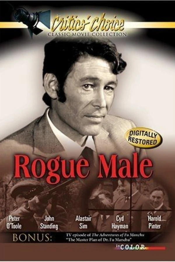 Rogue Male Juliste