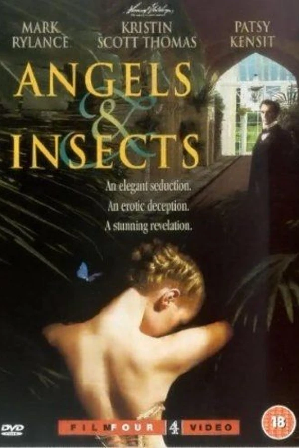 Angels and Insects Juliste