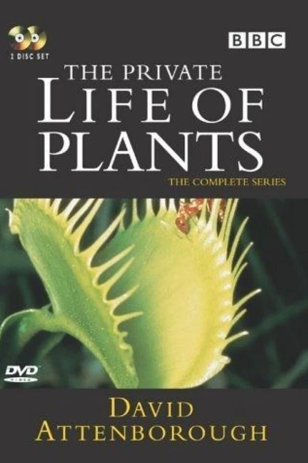 The Private Life of Plants Juliste