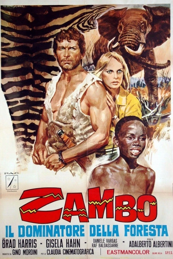 Zambo, King of the Jungle Juliste