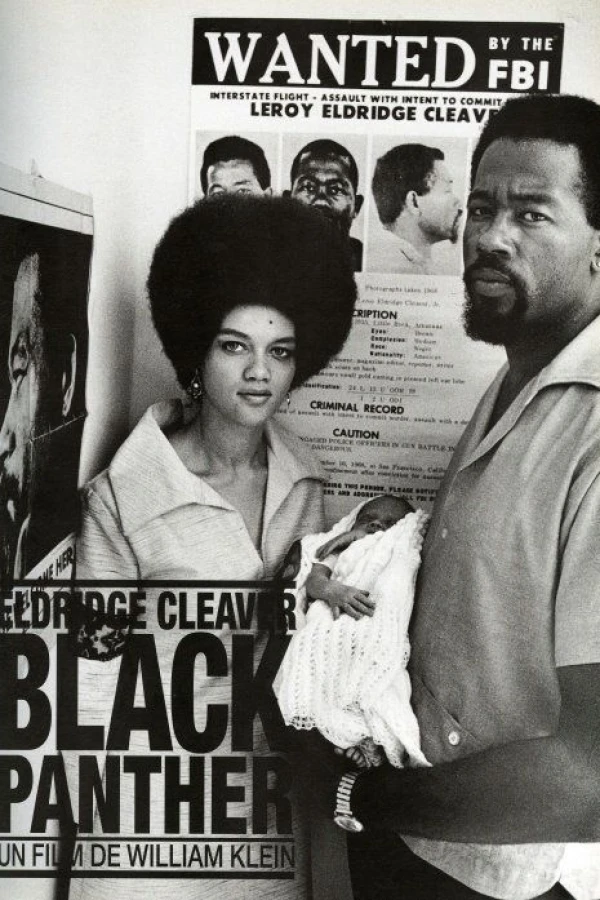 Eldridge Cleaver, Black Panther Juliste