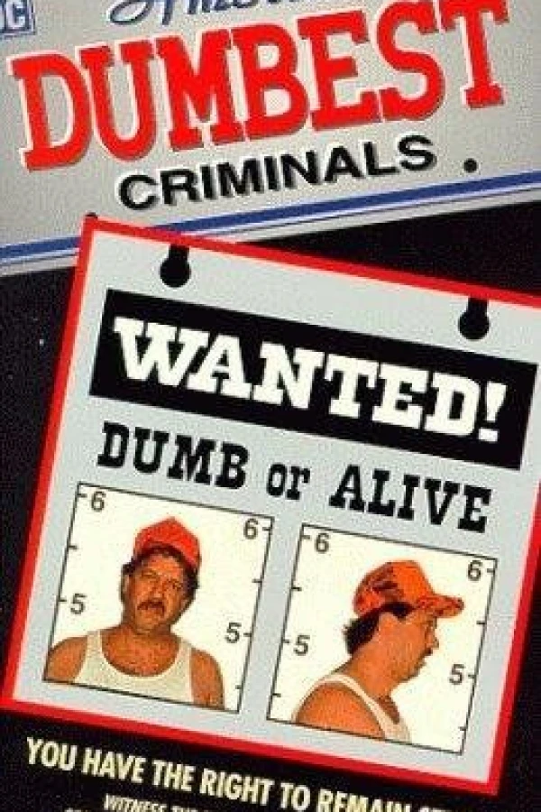 America's Dumbest Criminals Juliste