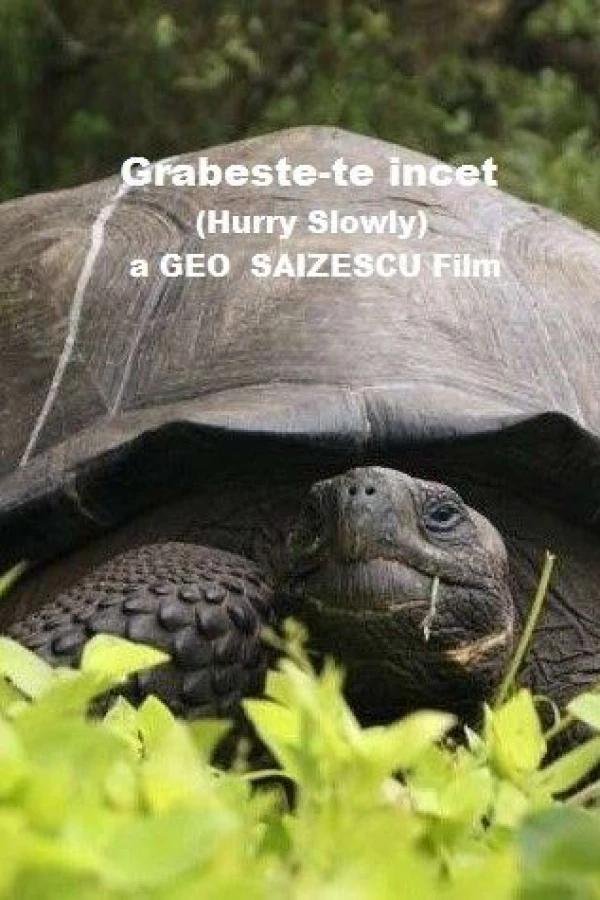 Grabeste-te încet Juliste