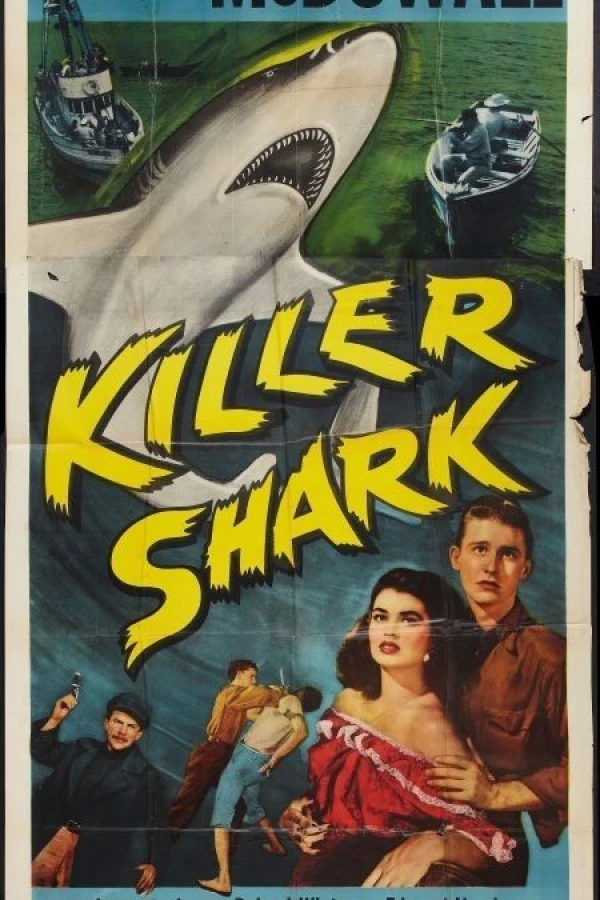 Killer Shark Juliste