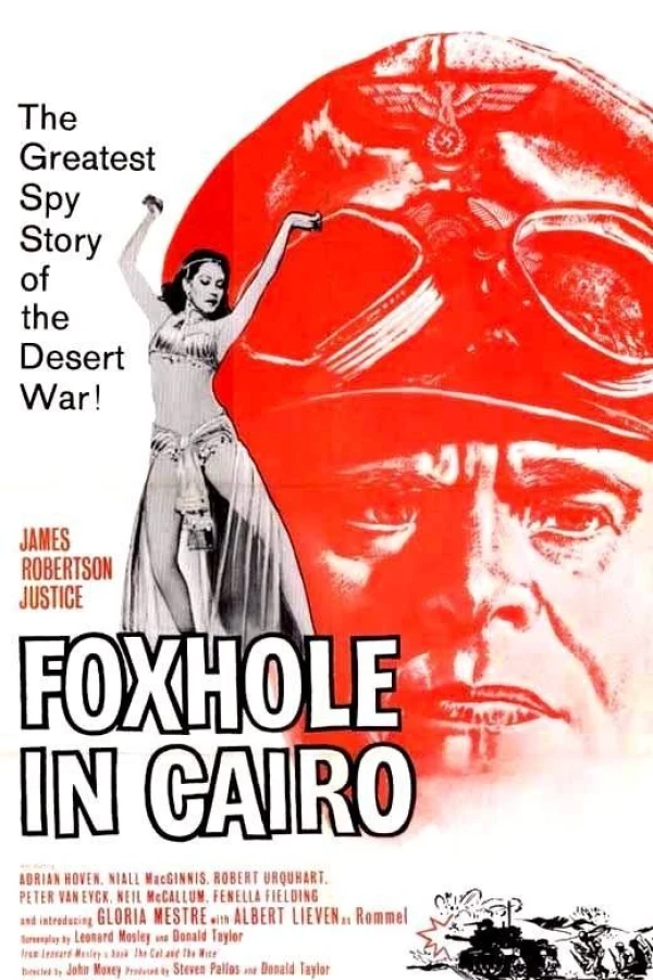 Foxhole in Cairo Juliste