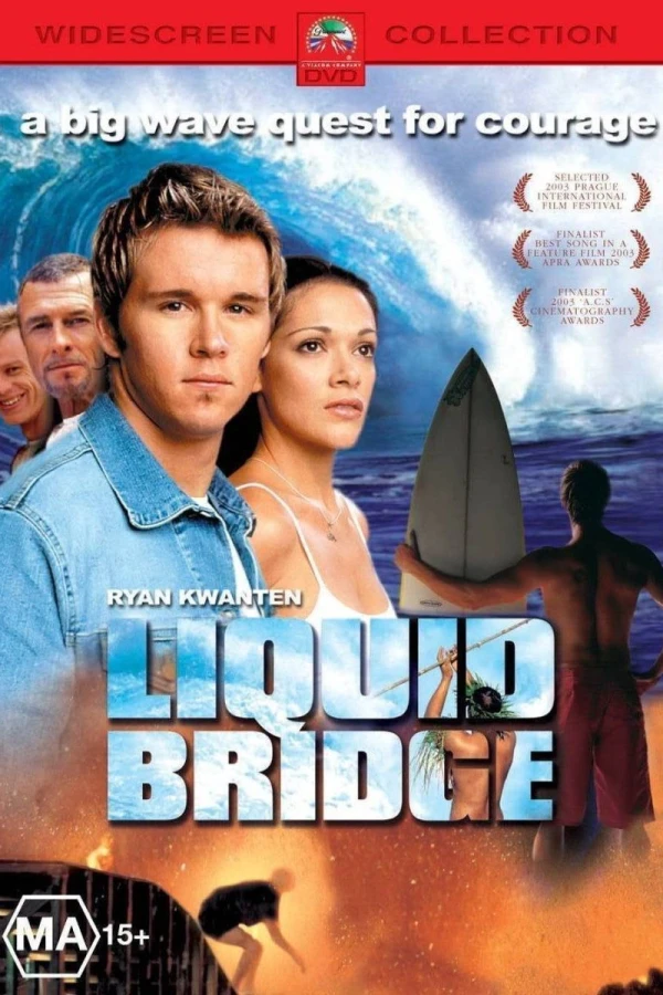 Liquid Bridge Juliste