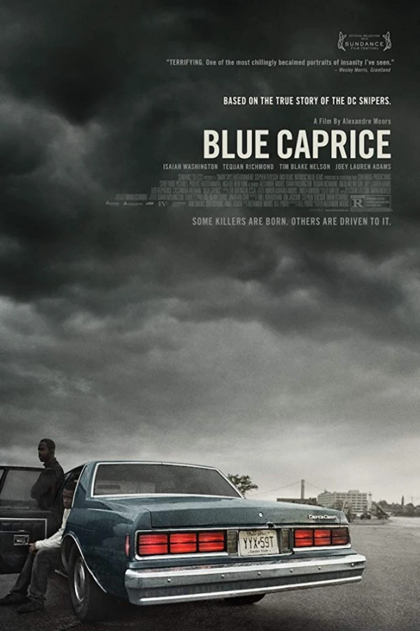 Blue Caprice Juliste