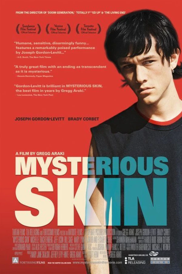 Mysterious Skin Juliste