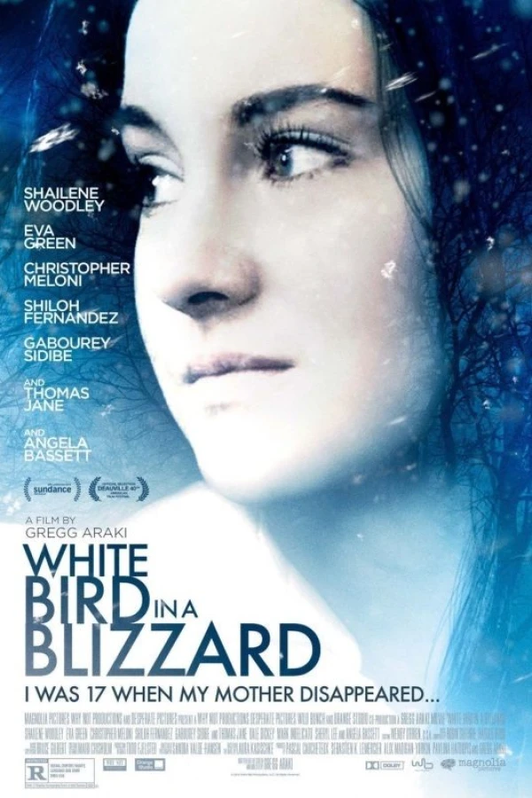 White Bird in a Blizzard Juliste