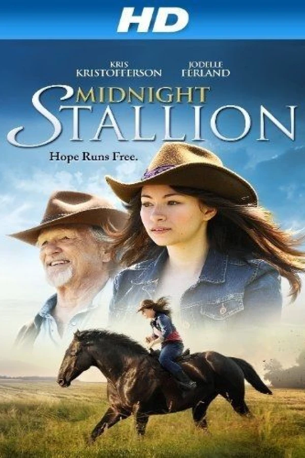 Midnight Stallion Juliste