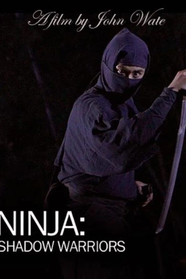 Ninja Shadow Warriors Juliste