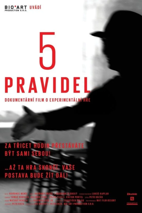 5 pravidel Juliste