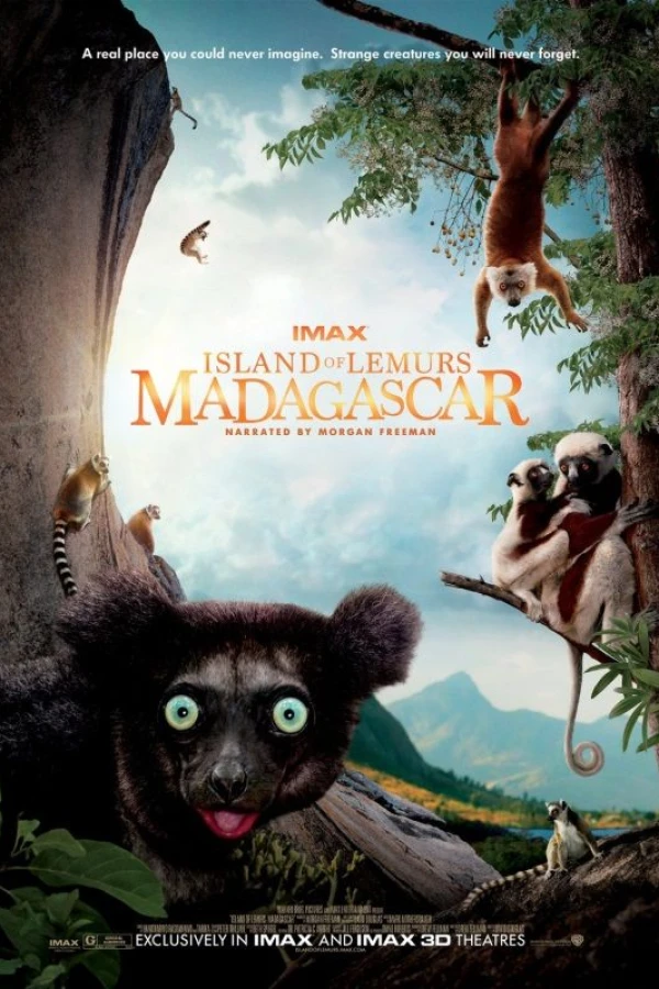 Island of Lemurs: Madagascar Juliste